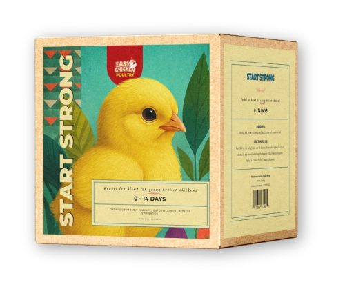 Start Strong – Herbal Tea for Broiler Chicks (0–14 Days)